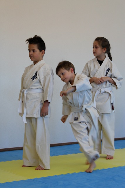 Karate Ebikon Eröffnung 12